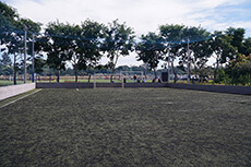 Image 1 Title