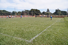 Image 1 Title