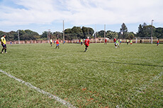 Image 1 Title